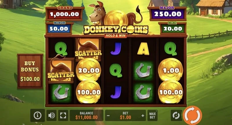 Donkey Coins Hold & Win - príomhscáileán le ríleanna